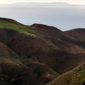 wellness-retreats-usa:-everything-you-need-to-know-about-the-ranch-malibu